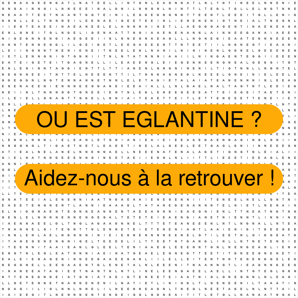 EGLANTINE