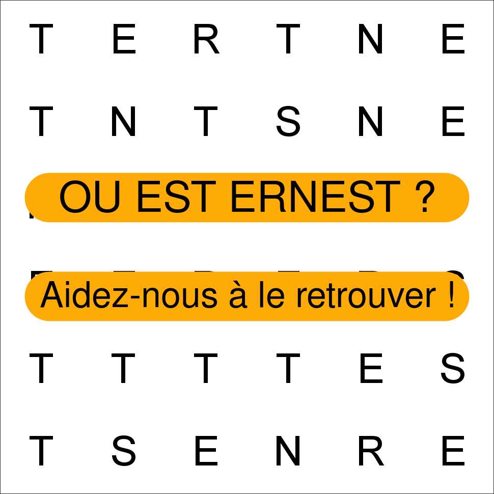 ERNEST