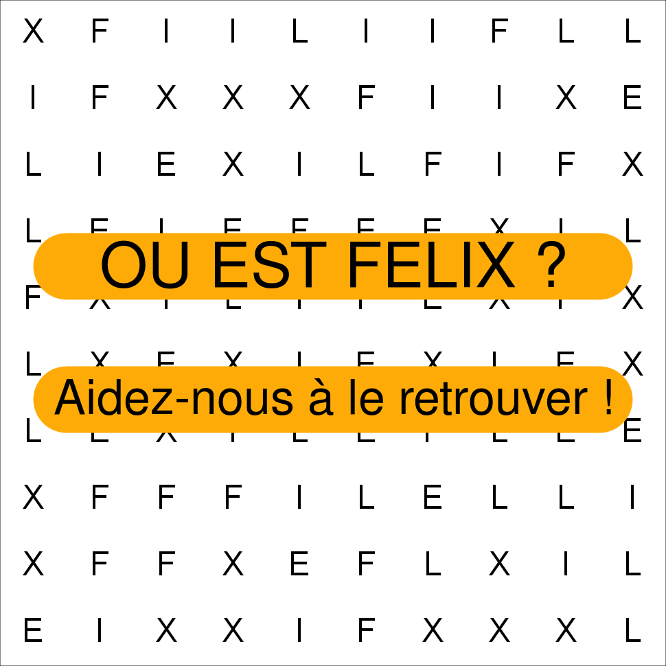 FELIX