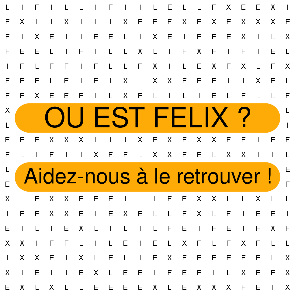 FELIX