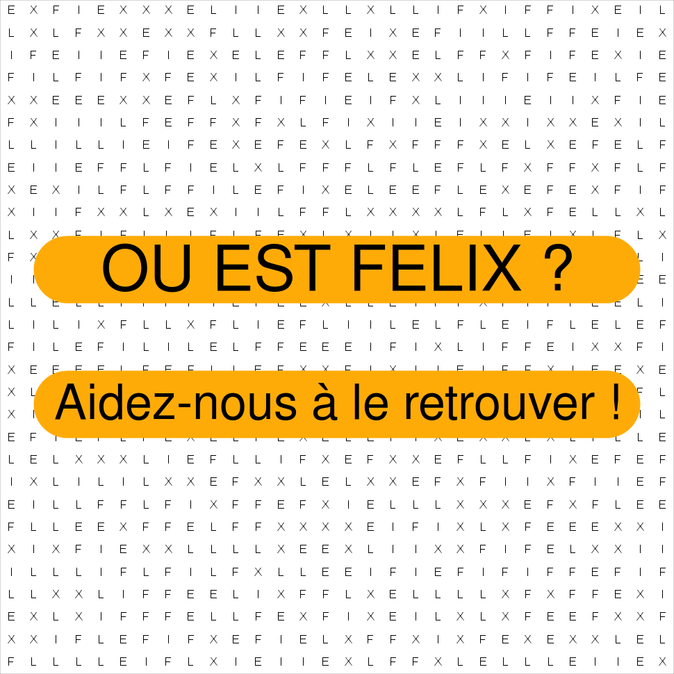FELIX