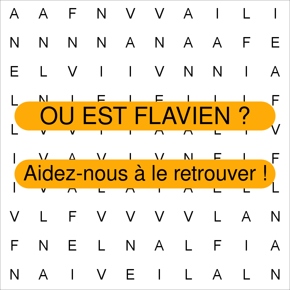FLAVIEN