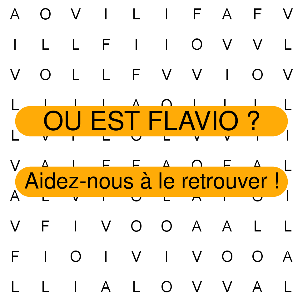 FLAVIO