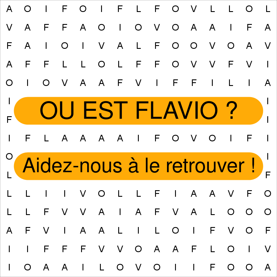 FLAVIO