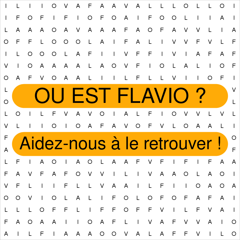 FLAVIO
