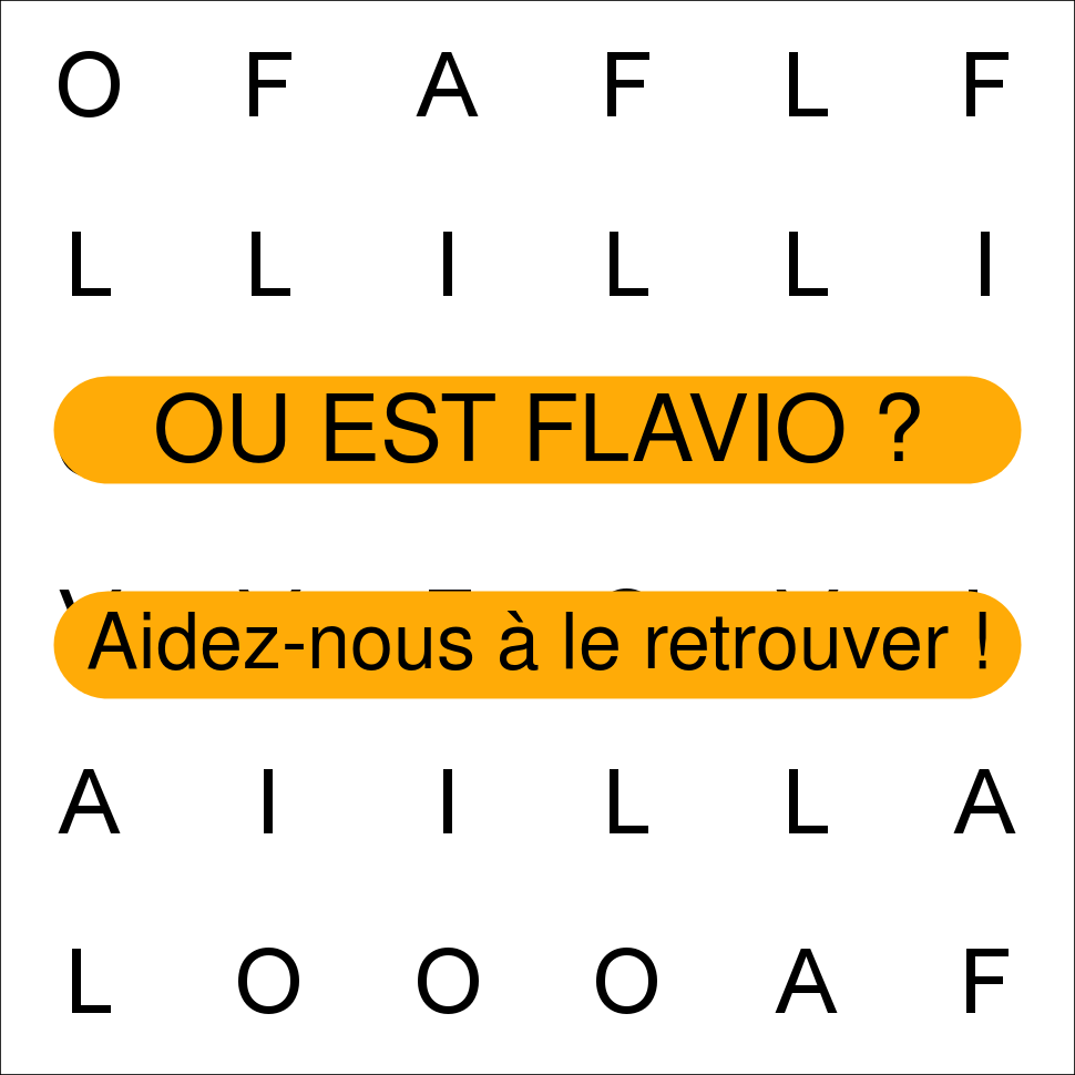 FLAVIO