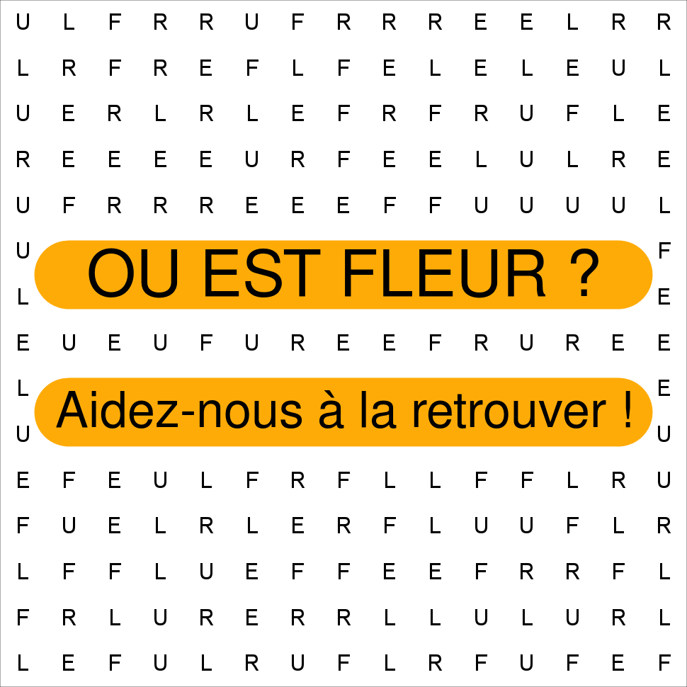 FLEUR