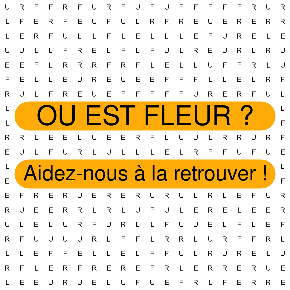 FLEUR
