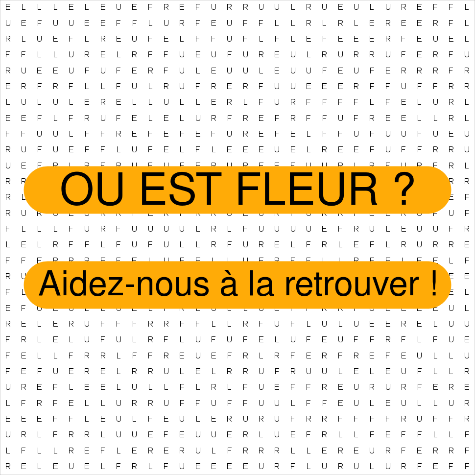 FLEUR