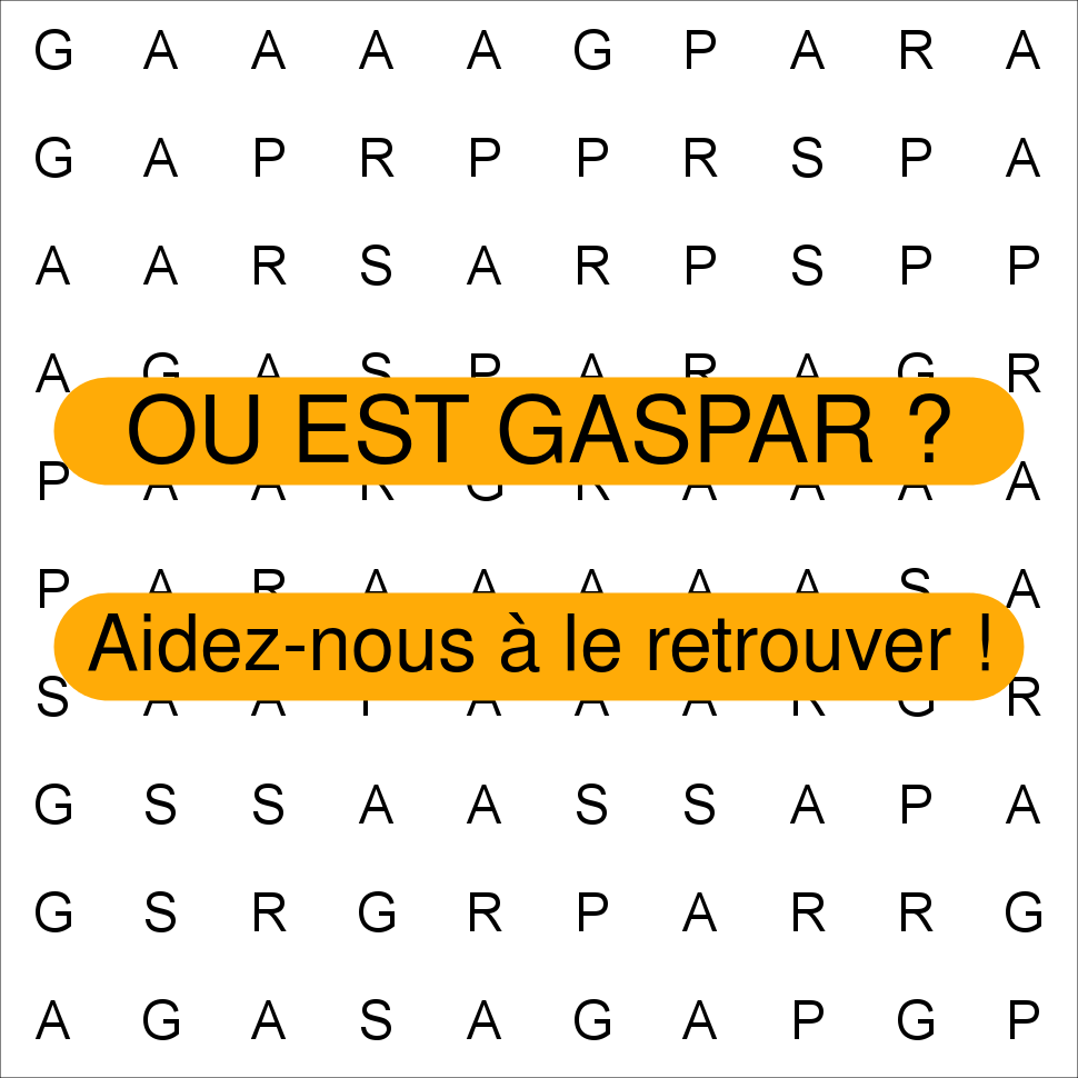 GASPAR