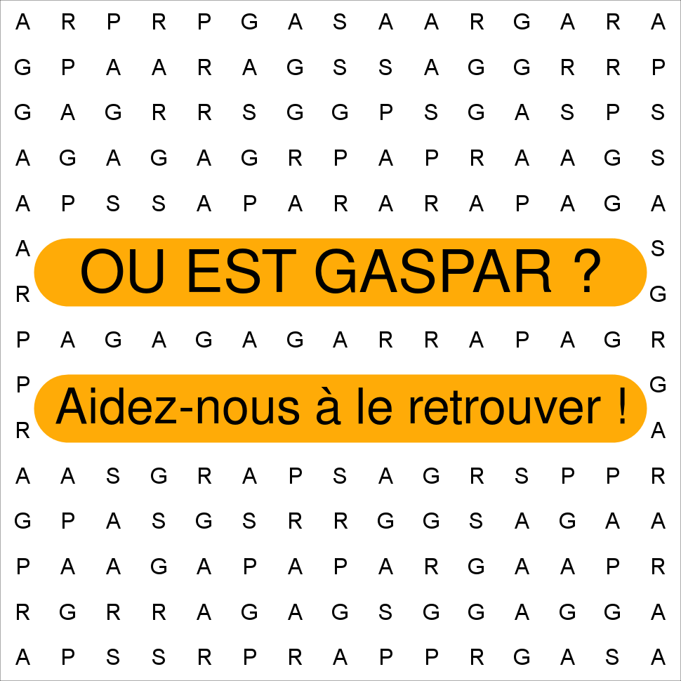 GASPAR