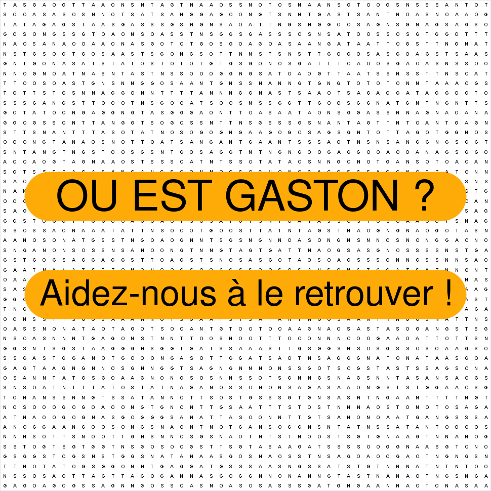 GASTON