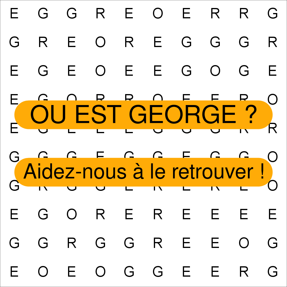 GEORGE