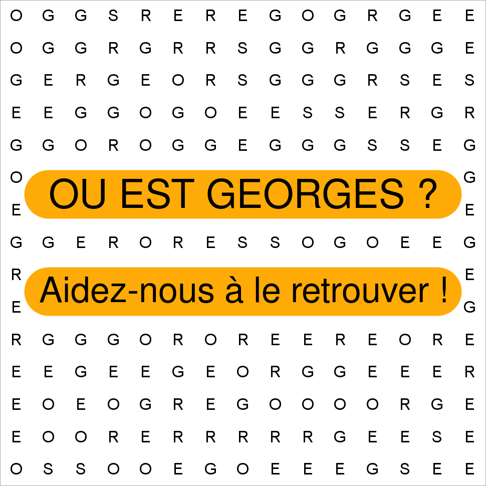 GEORGES