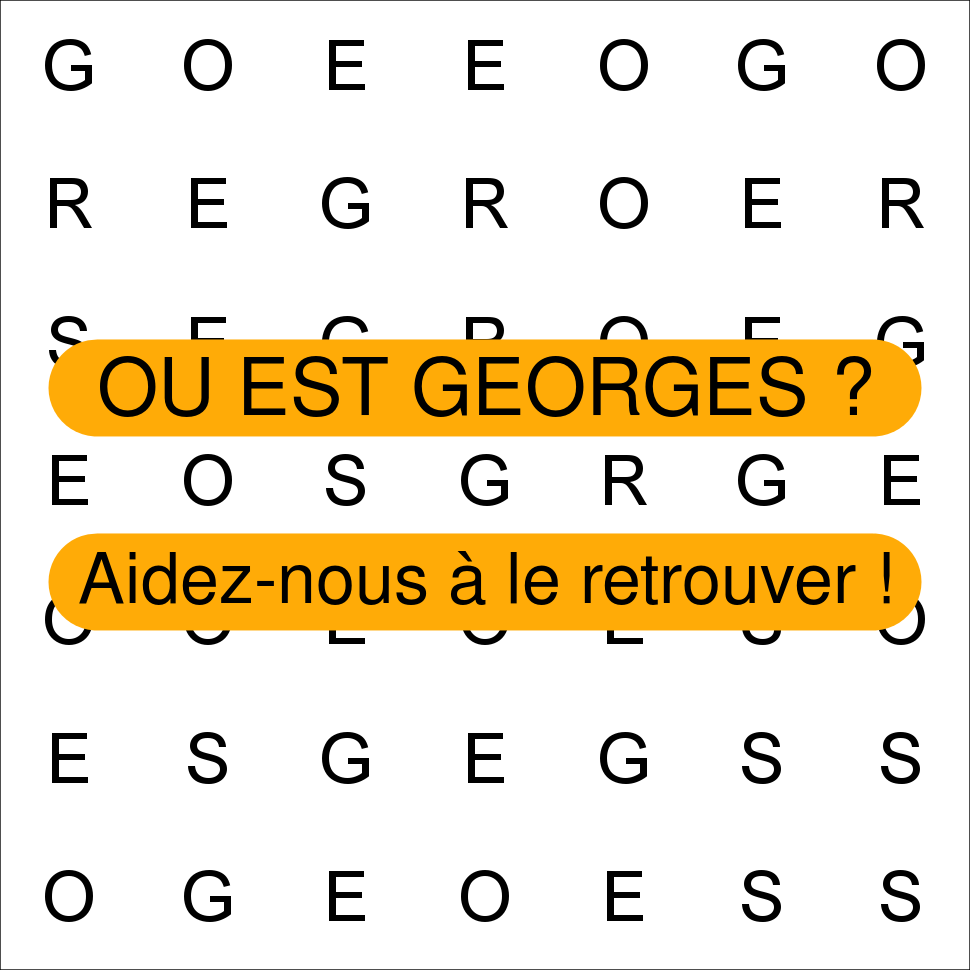 GEORGES