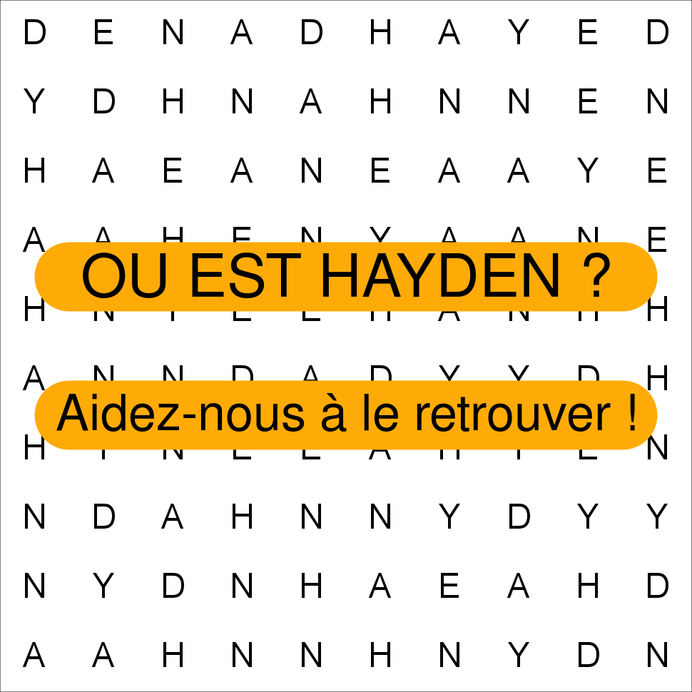 HAYDEN