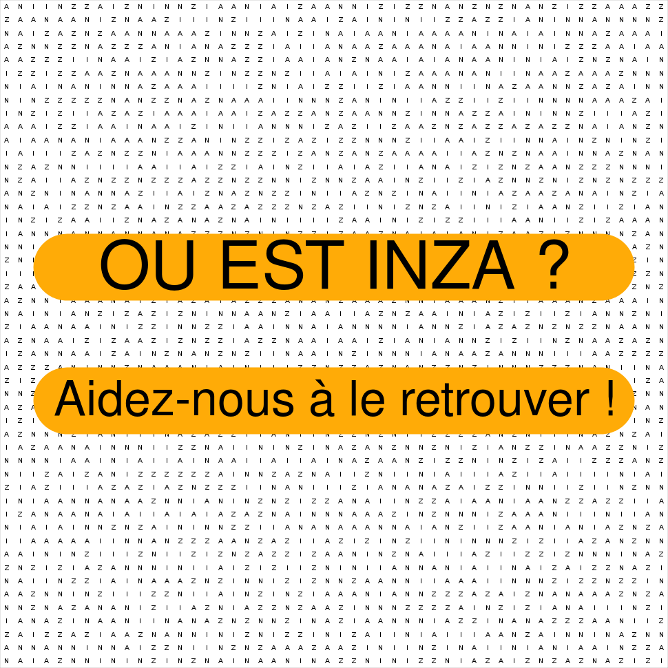 INZA