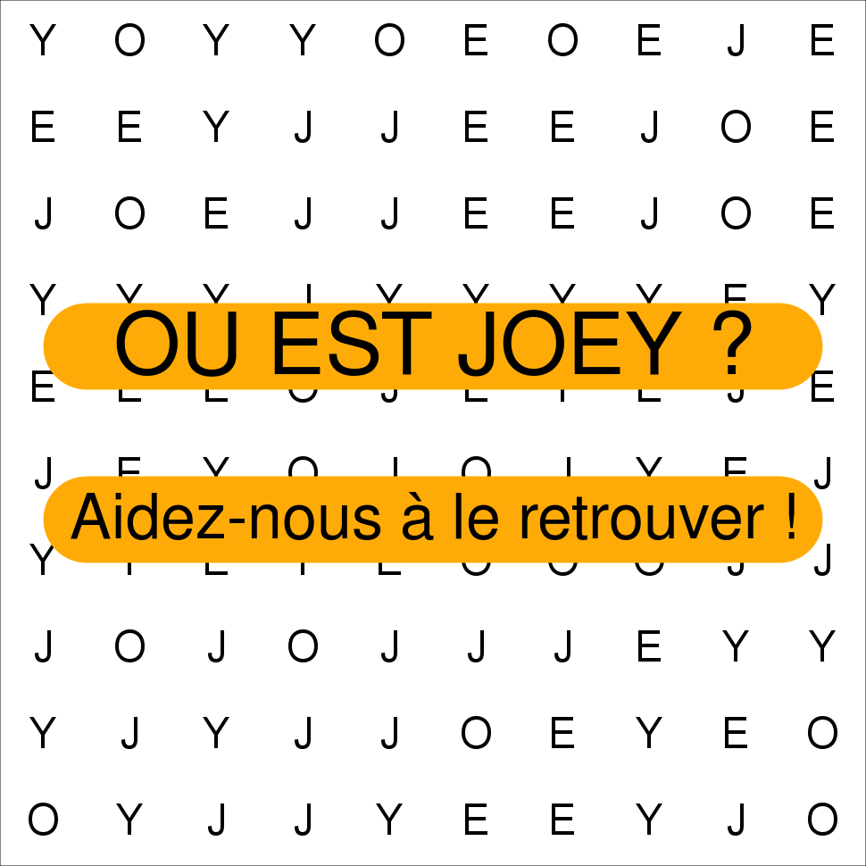 JOEY