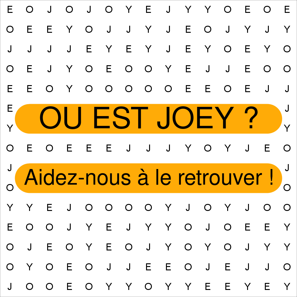 JOEY