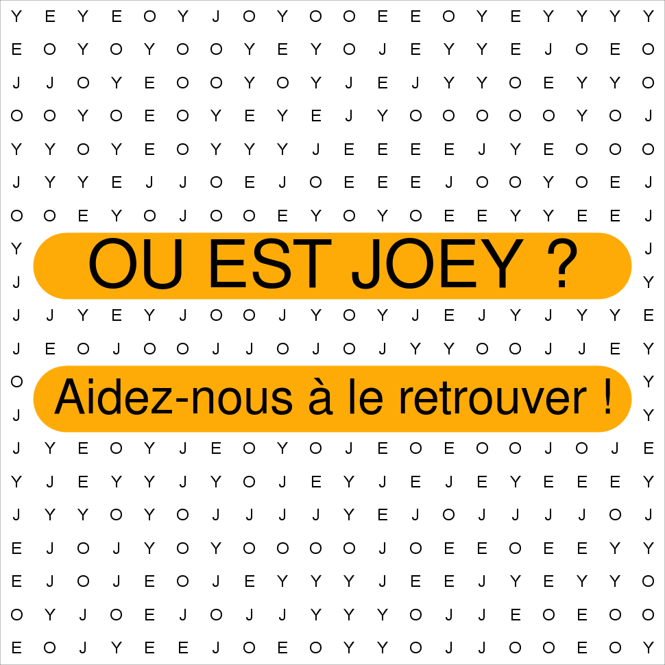 JOEY