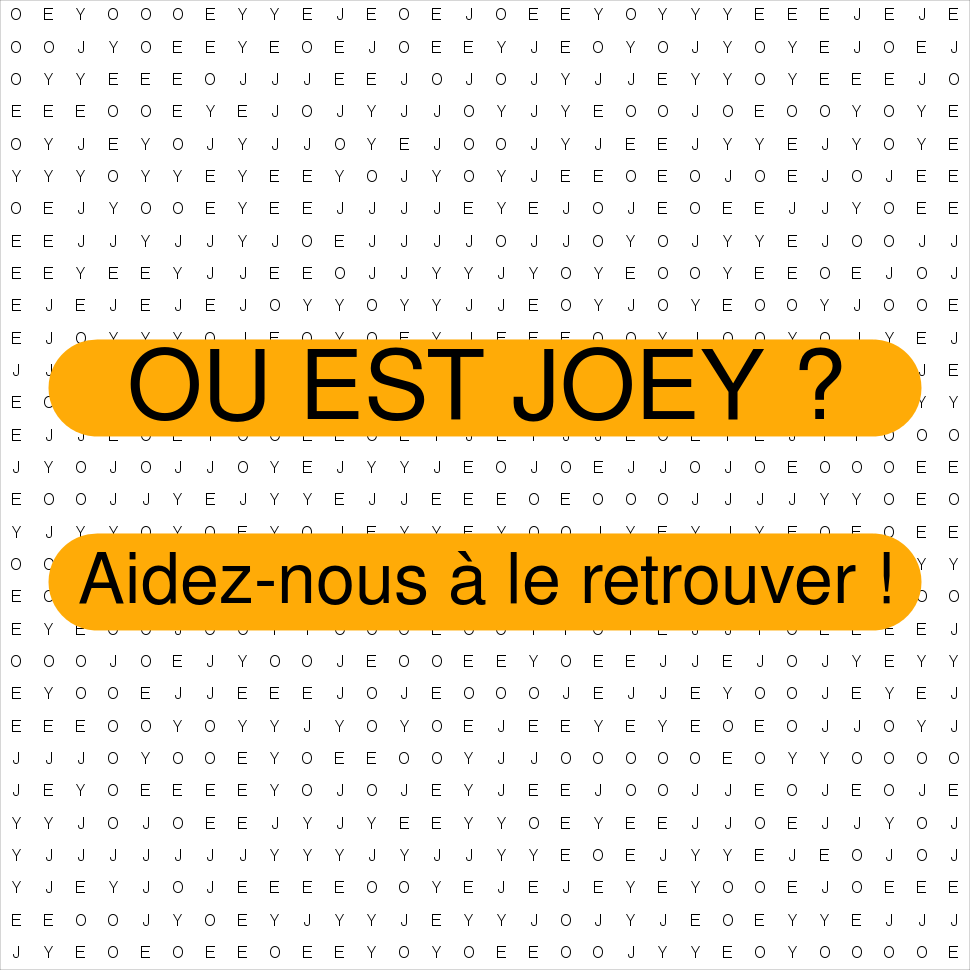 JOEY