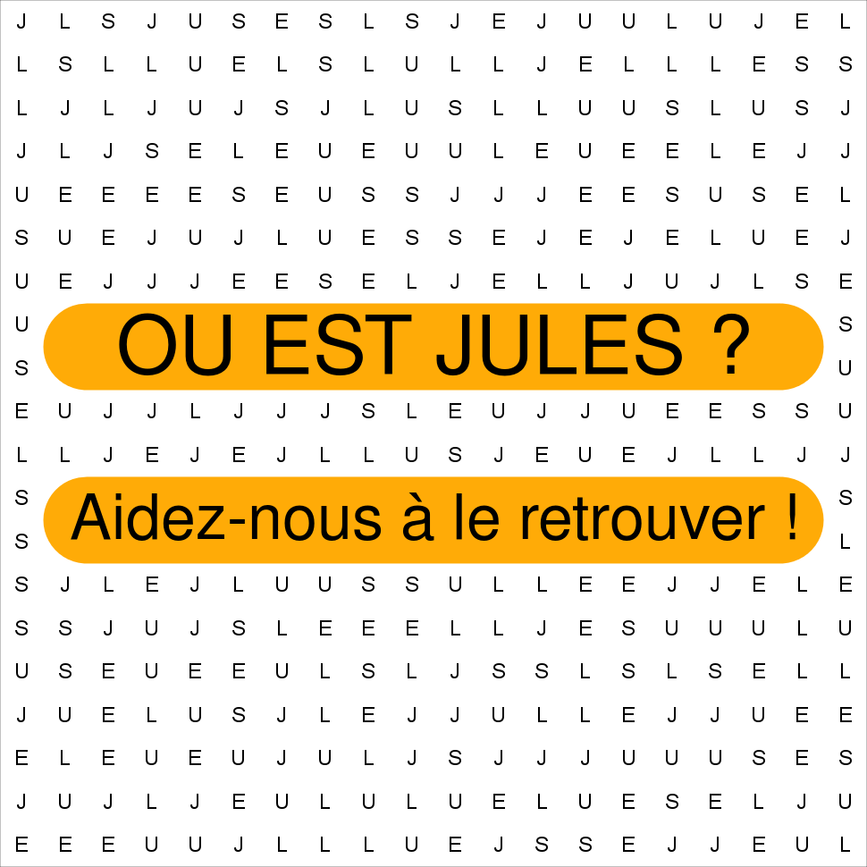 JULES