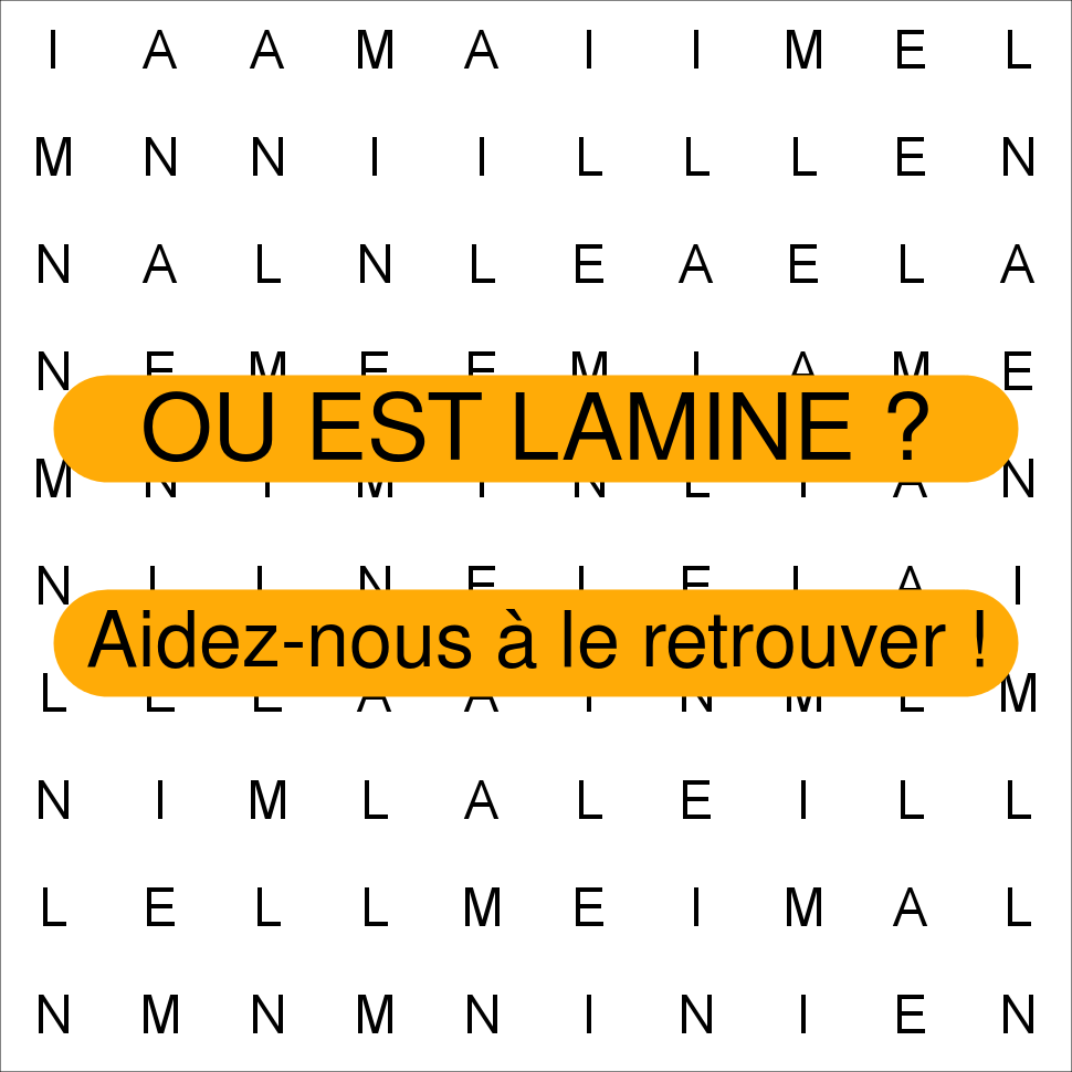 LAMINE