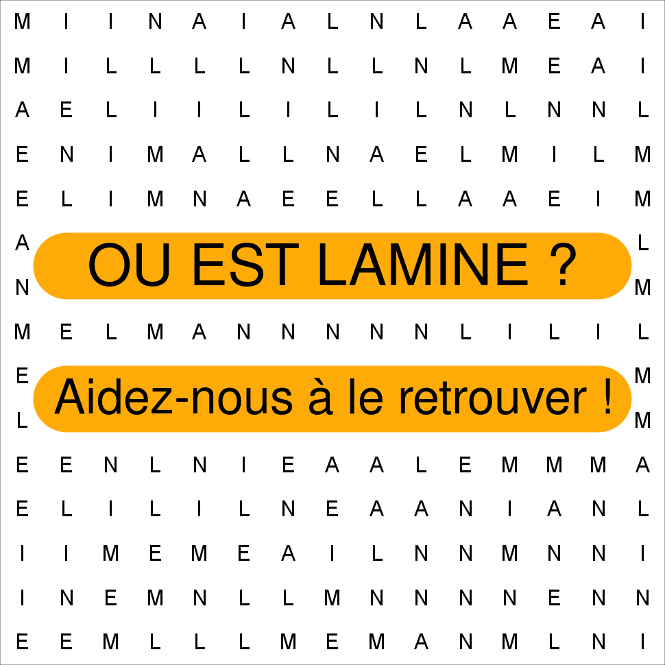 LAMINE