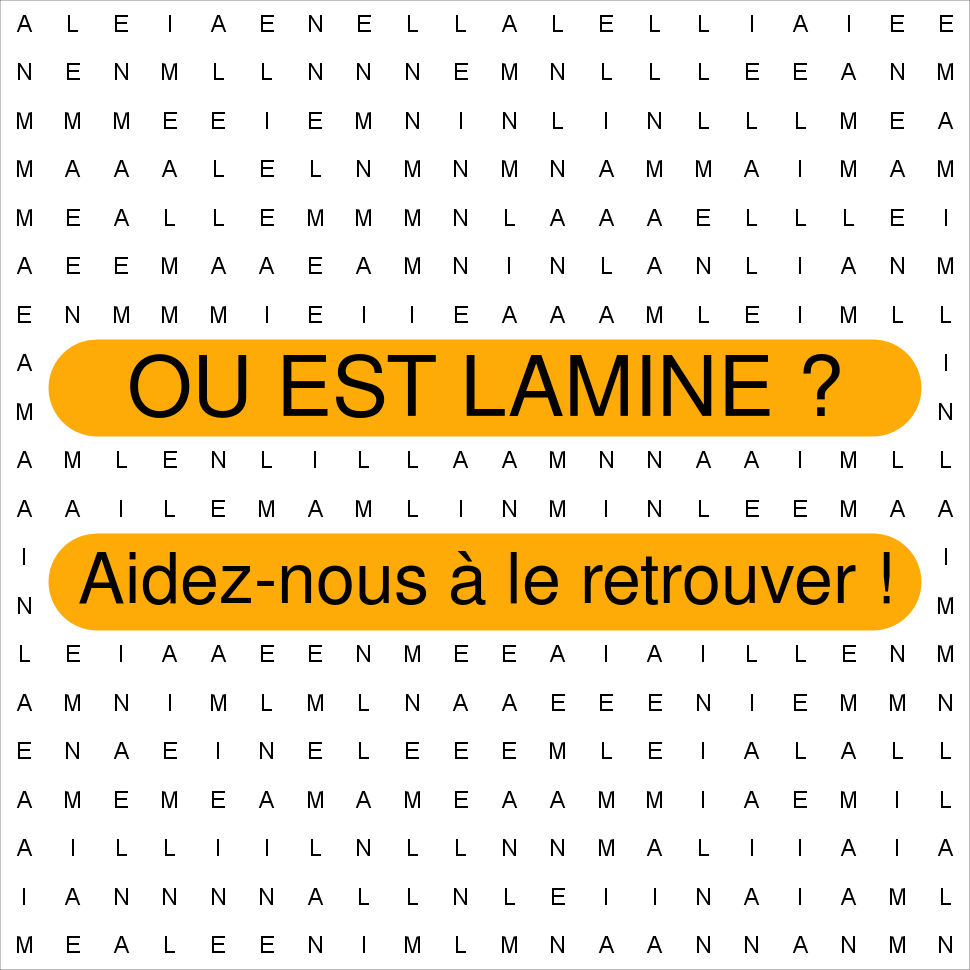 LAMINE