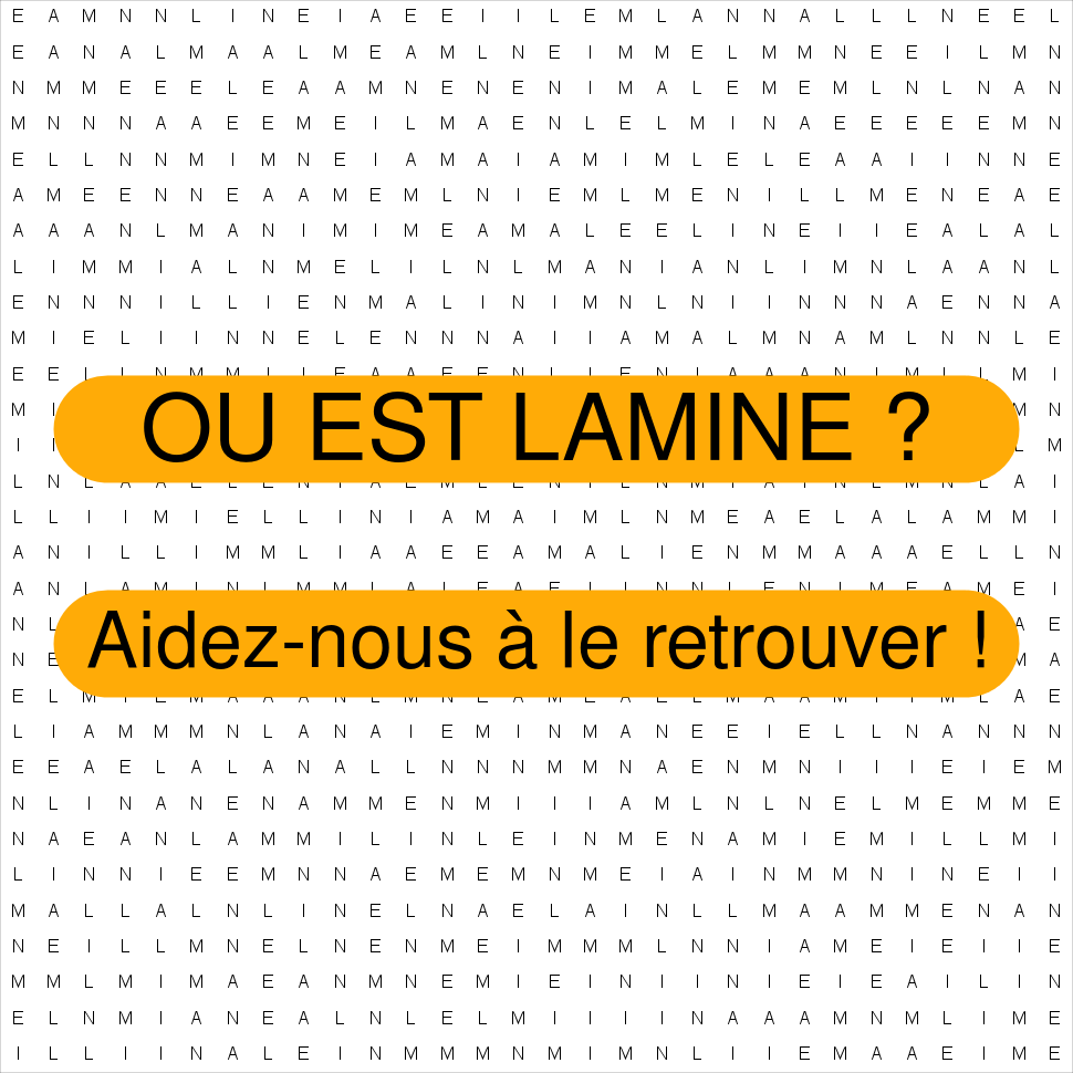 LAMINE