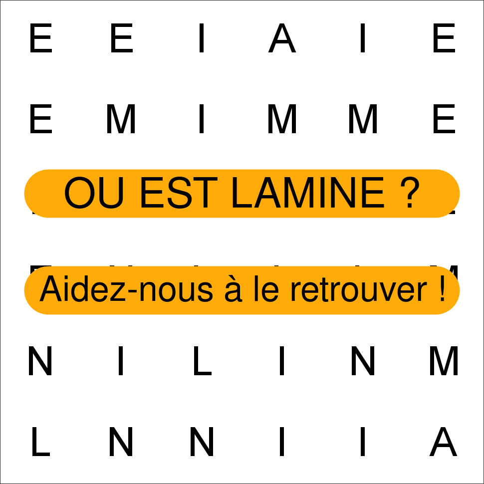 LAMINE