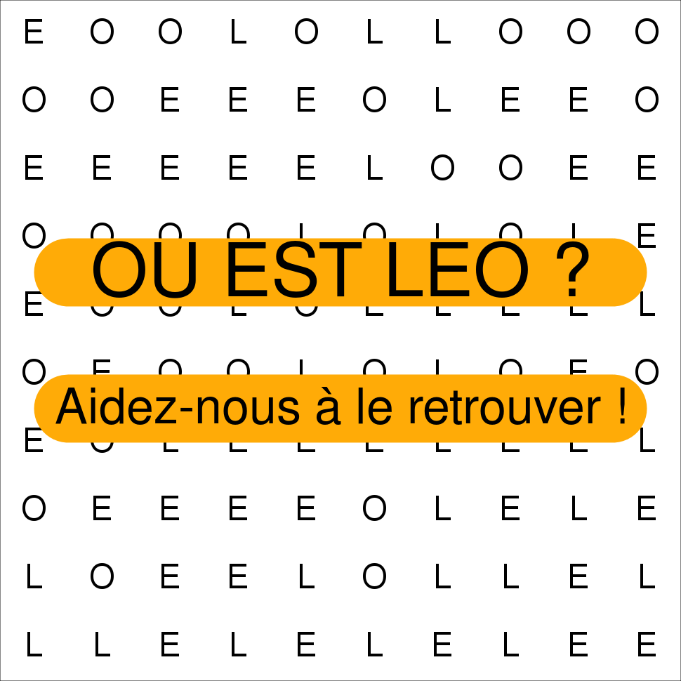 LEO