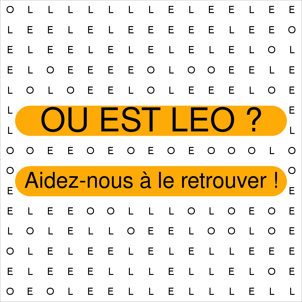 LEO