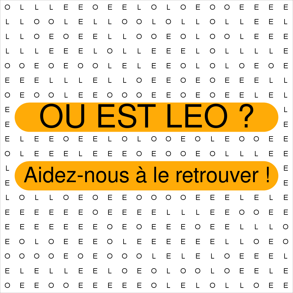LEO