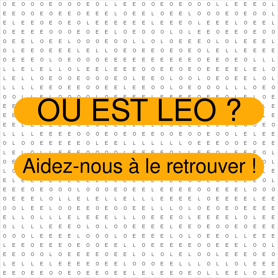 LEO