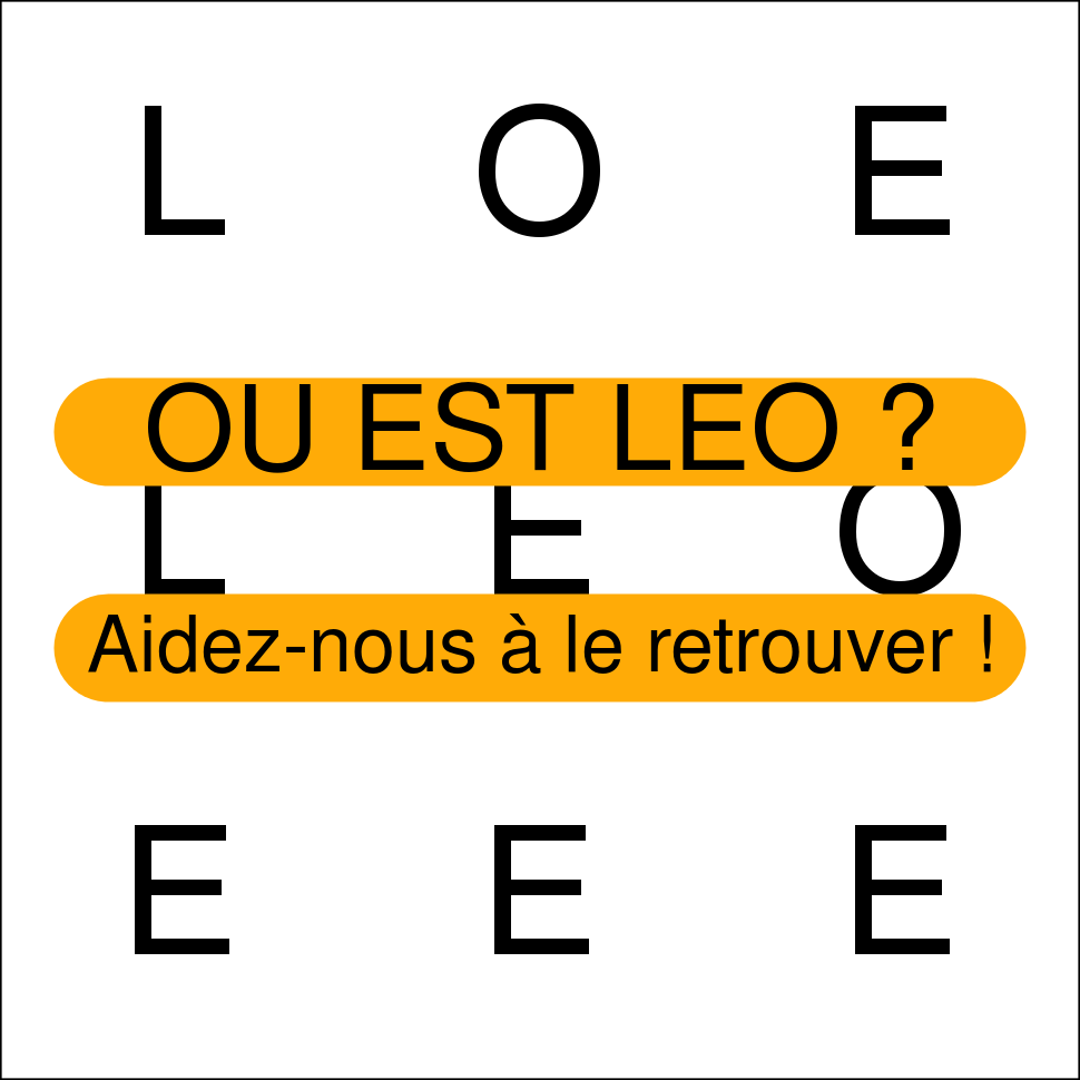 LEO
