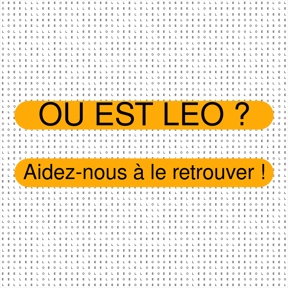 LEO