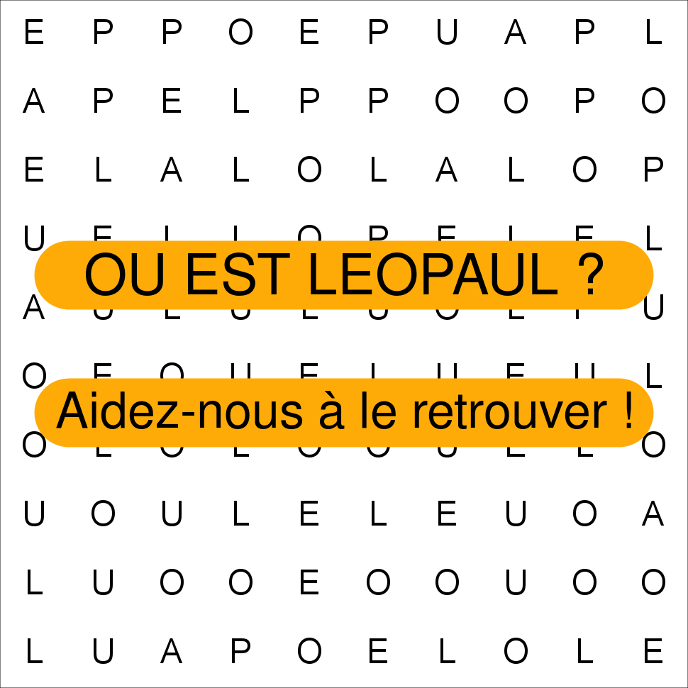 LEOPAUL