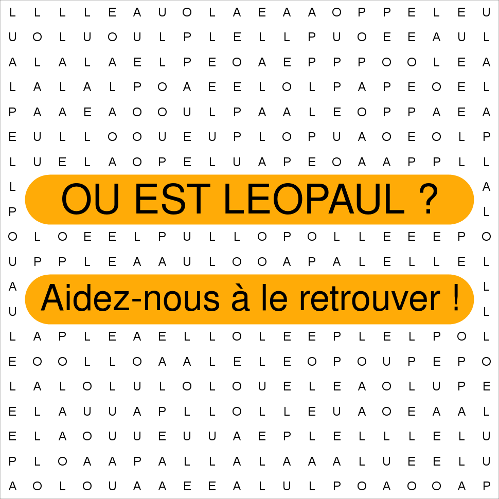LEOPAUL