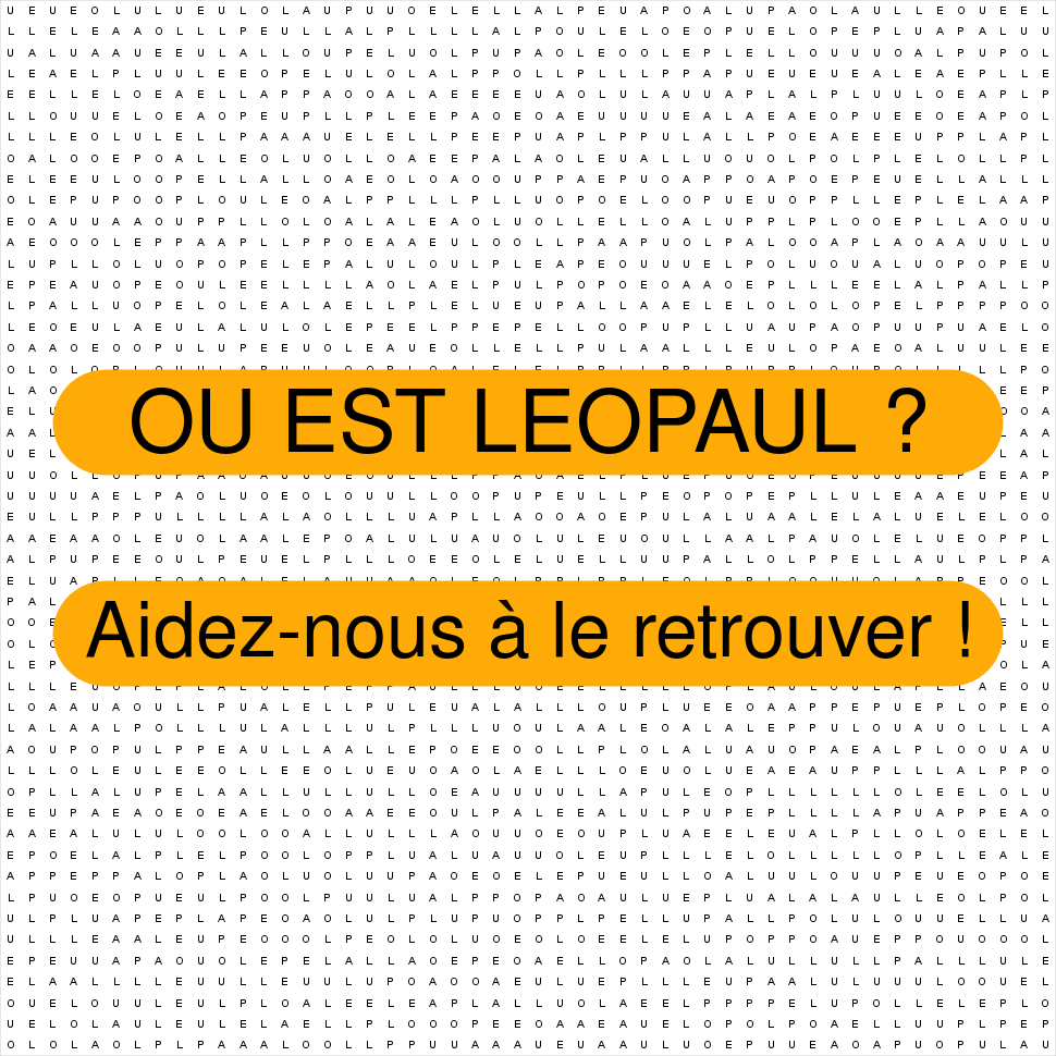 LEOPAUL