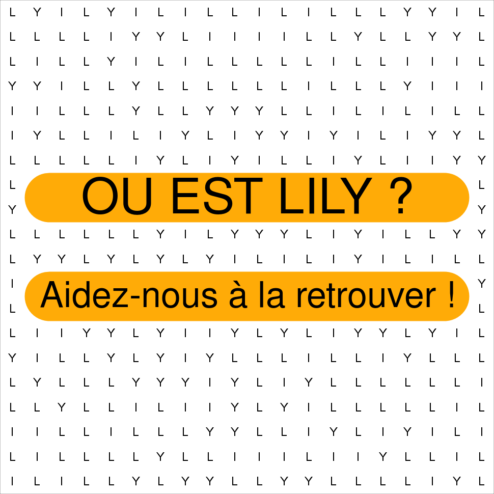 LILY