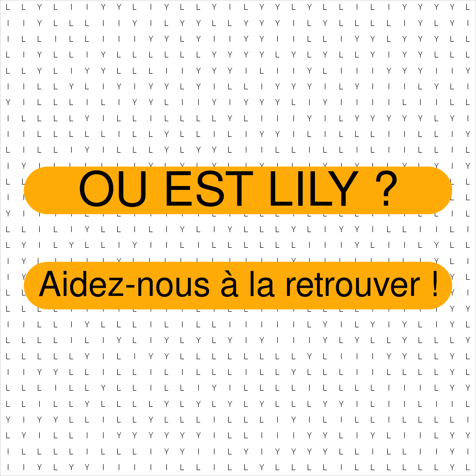 LILY
