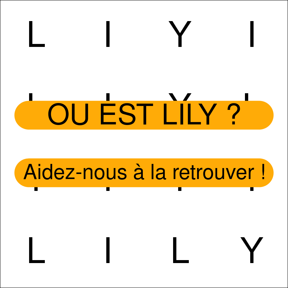 LILY