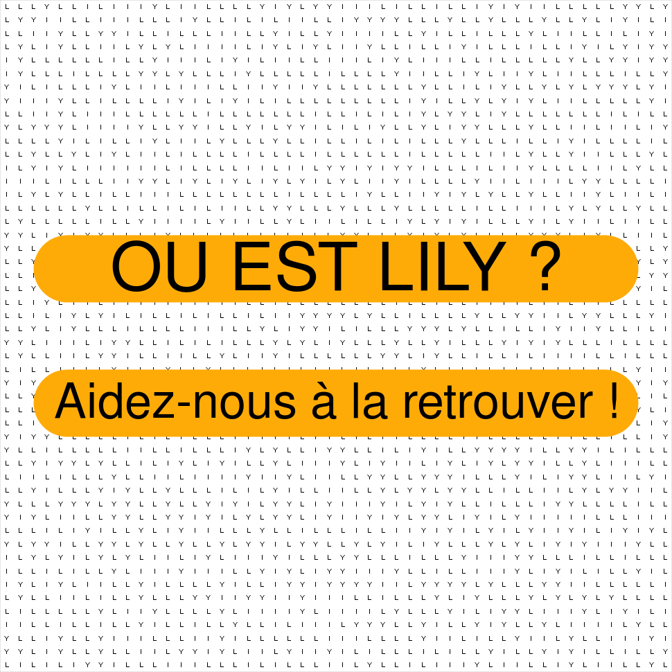 LILY