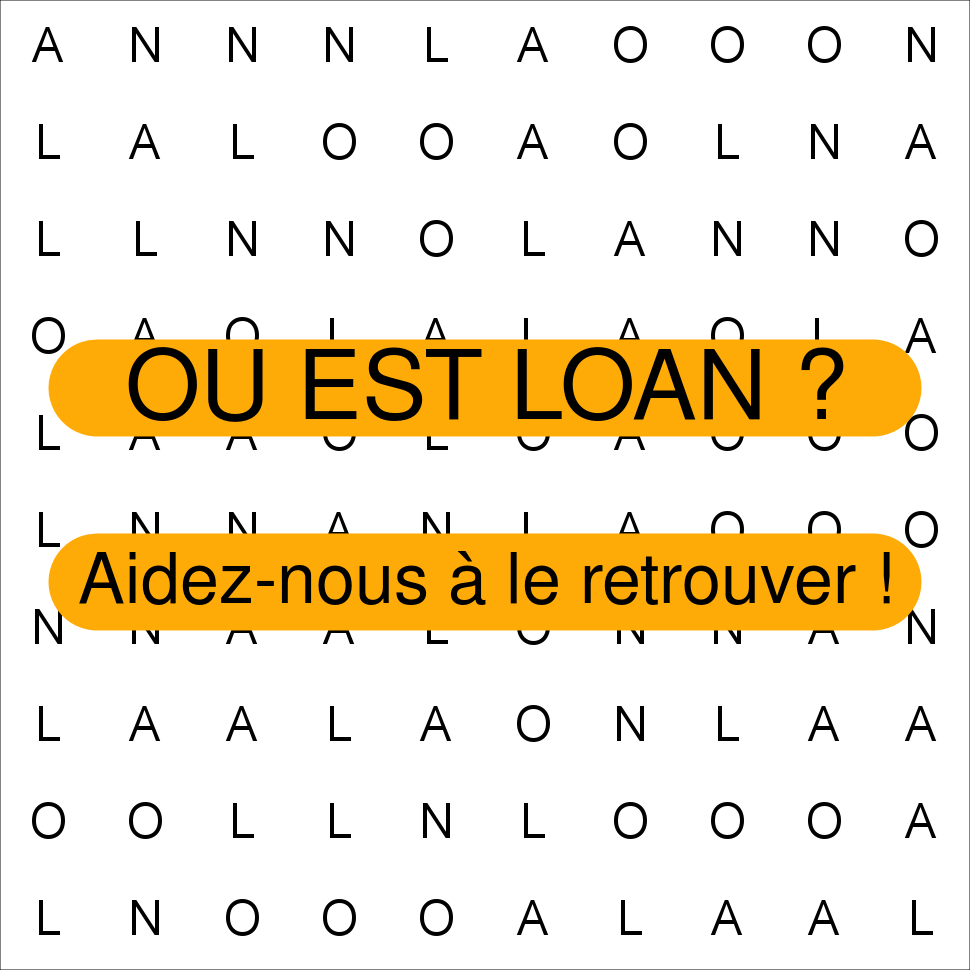 LOAN