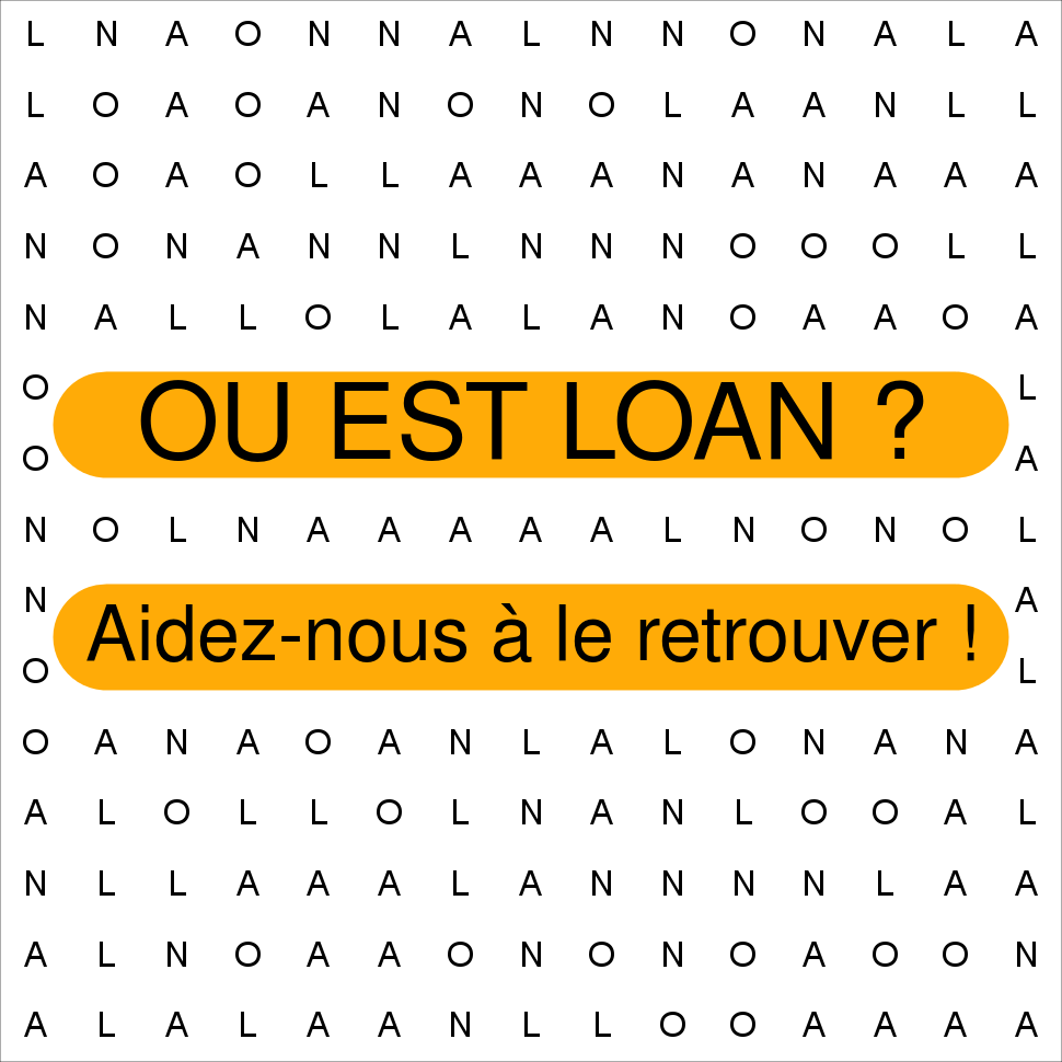 LOAN