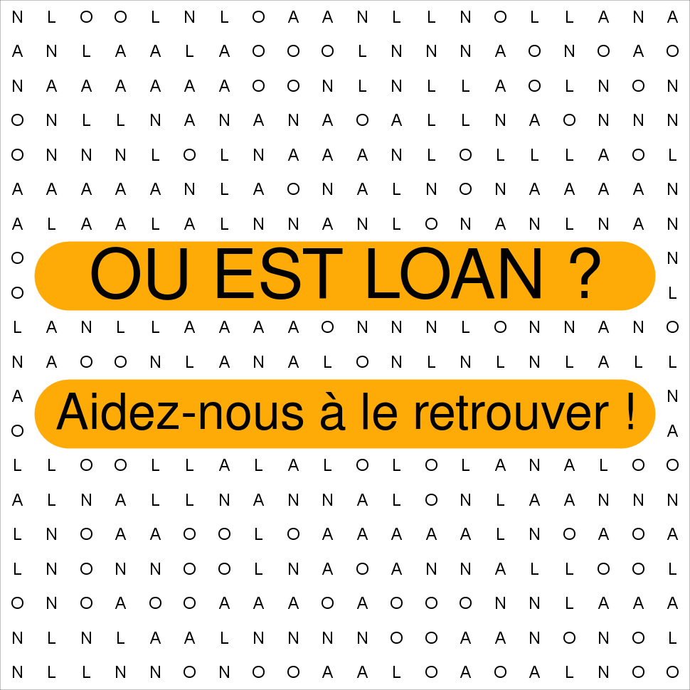 LOAN