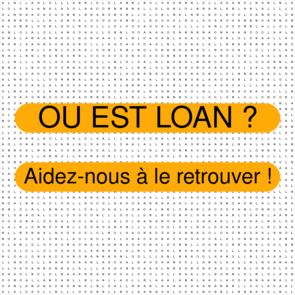 LOAN