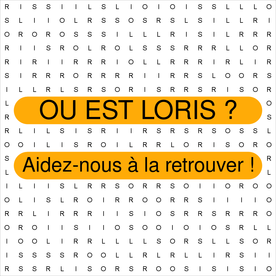 LORIS