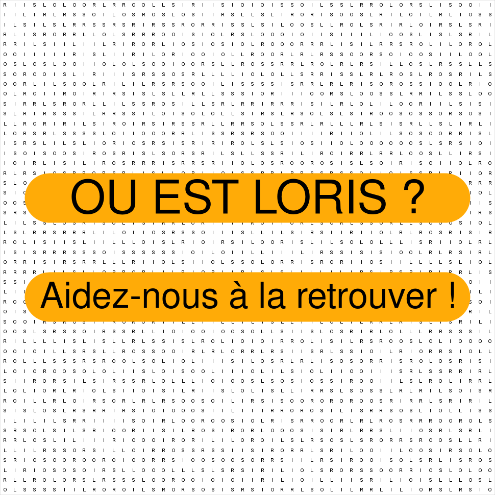 LORIS